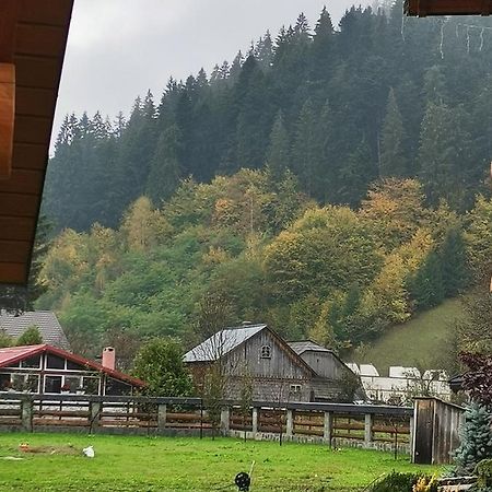 Casa De Poveste Sucevita Kültér fotó
